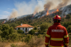 Curso online gratuito sobre inc&ecirc;ndios rurais j&aacute; dispon&iacute;vel